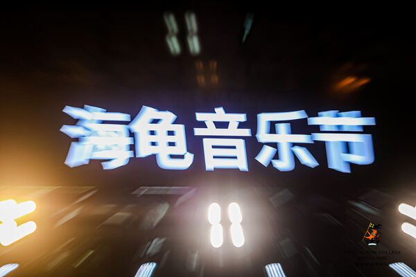2024惠灵顿杭州校区海龟音乐节,杭州惠灵顿外籍人员子女学校