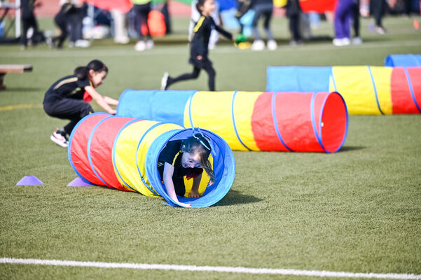 杭州惠灵顿小学部运动会,杭州惠灵顿外籍人员子女学校