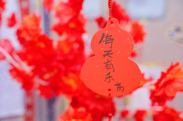 蛇年新春庆祝盛典,杭州惠灵顿外籍人员子女学校