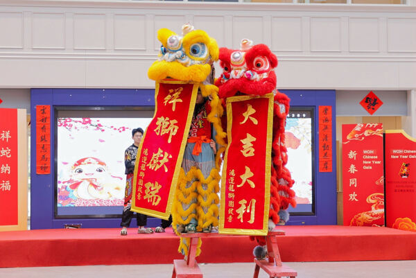 蛇年新春庆祝盛典,杭州惠灵顿外籍人员子女学校