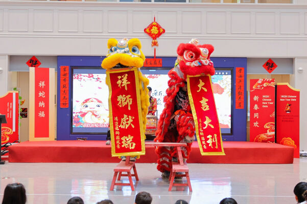 蛇年新春庆祝盛典,杭州惠灵顿外籍人员子女学校