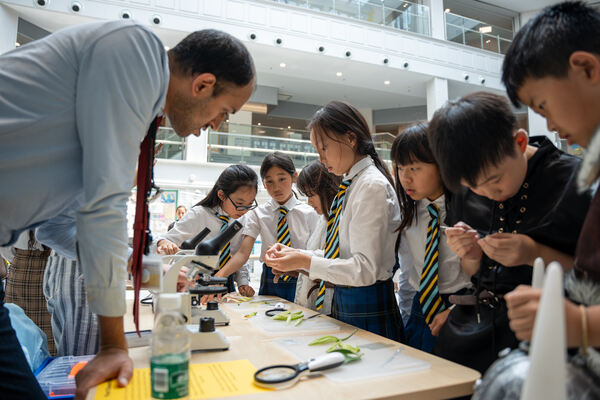 单元展,杭州惠灵顿外籍人员子女学校