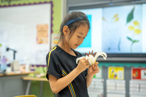 小学部科学周,杭州惠灵顿外籍人员子女学校