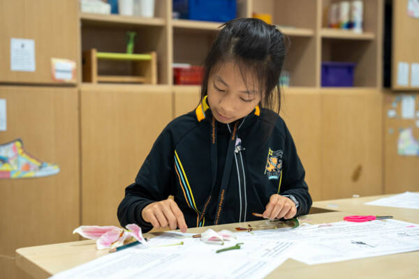 小学部科学周,杭州惠灵顿外籍人员子女学校