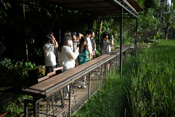 变革者之周,杭州惠灵顿外籍人员子女学校