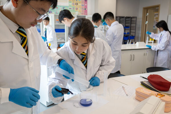科学周,杭州惠灵顿外籍人员子女学校