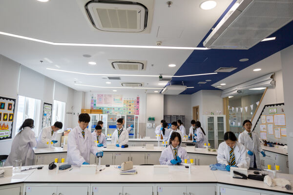 科学周,杭州惠灵顿外籍人员子女学校