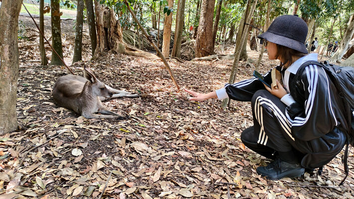 变革者之周,杭州惠灵顿外籍人员子女学校