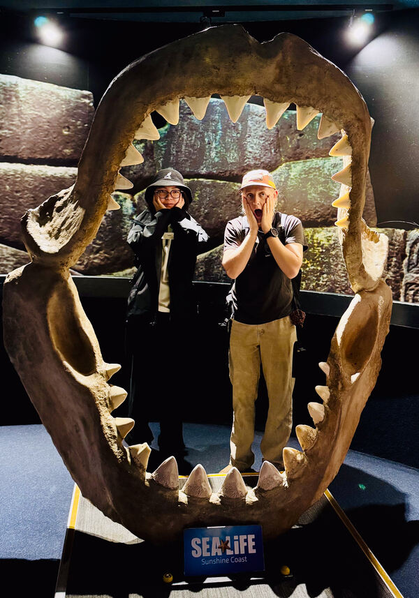 变革者之周,杭州惠灵顿外籍人员子女学校