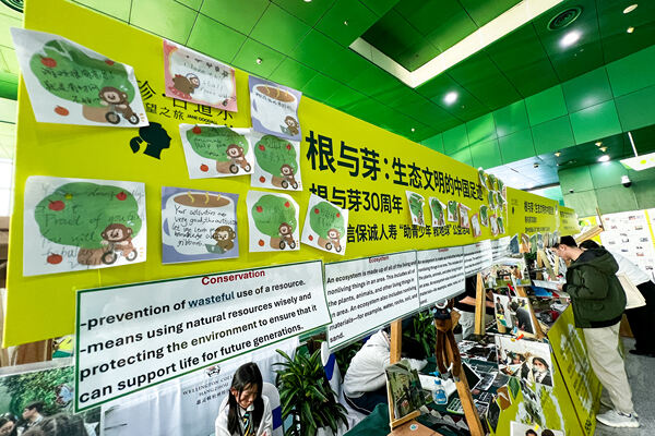 根与芽,杭州惠灵顿外籍人员子女学校