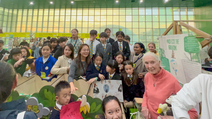根与芽,杭州惠灵顿外籍人员子女学校