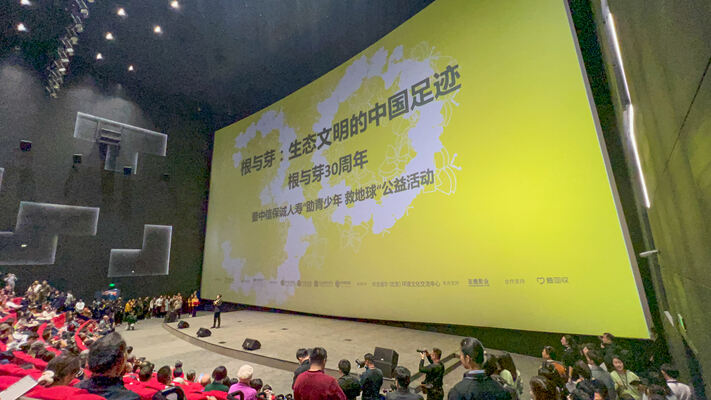 根与芽,杭州惠灵顿外籍人员子女学校