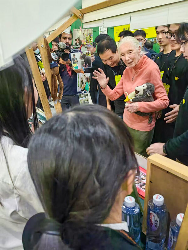 根与芽,杭州惠灵顿外籍人员子女学校