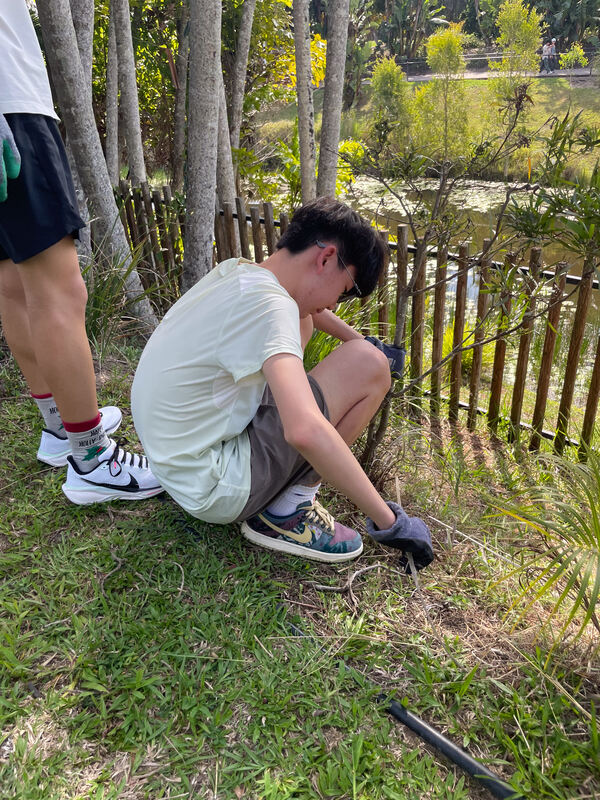 变革者之周,杭州惠灵顿外籍人员子女学校