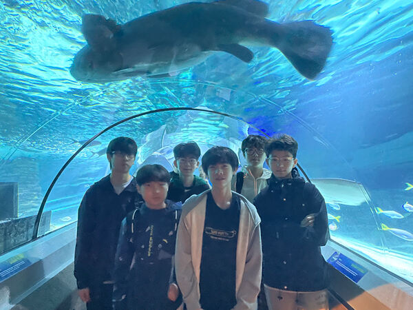 变革者之周,杭州惠灵顿外籍人员子女学校