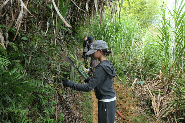 变革者之周,杭州惠灵顿外籍人员子女学校