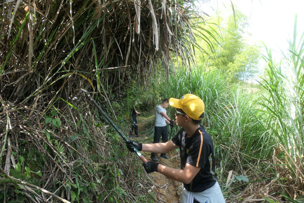 变革者之周,杭州惠灵顿外籍人员子女学校