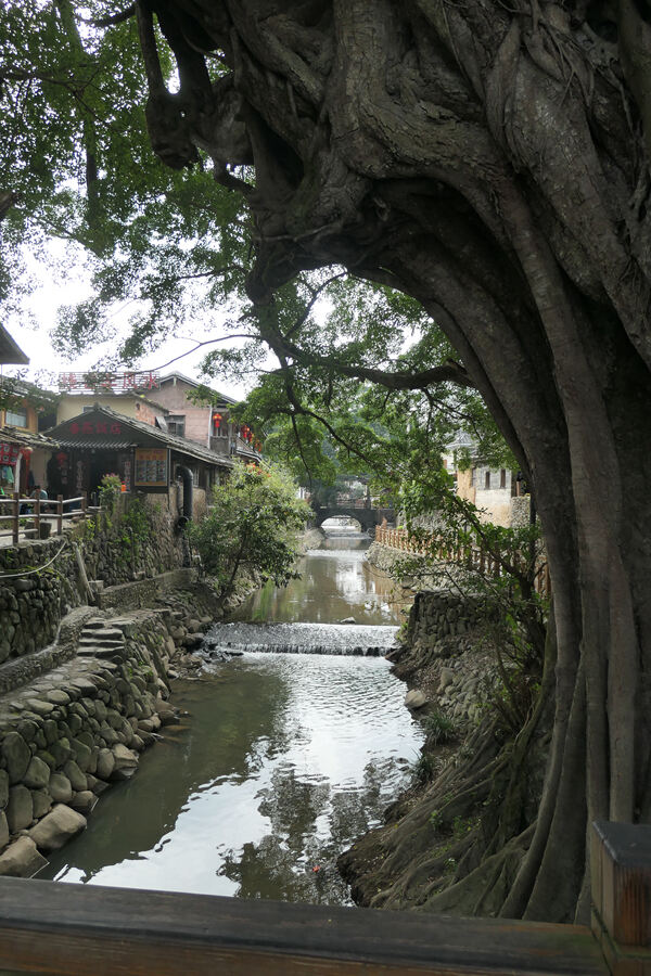 变革者之周,杭州惠灵顿外籍人员子女学校