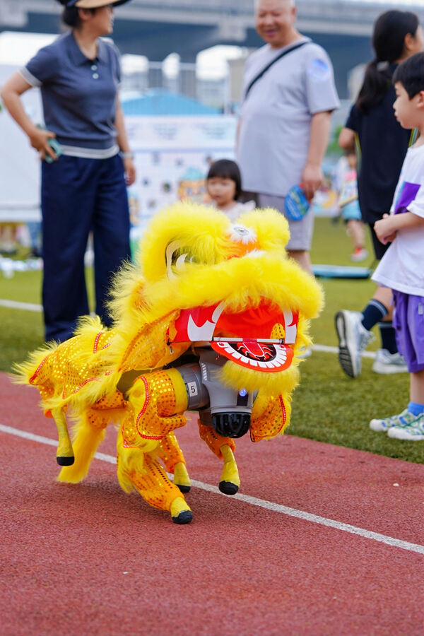 2025夏季嘉年华·海龟音乐节高能回顾,杭州惠灵顿外籍人员子女学校