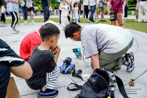 2024惠灵顿杭州校区夏季嘉年华,杭州惠灵顿外籍人员子女学校