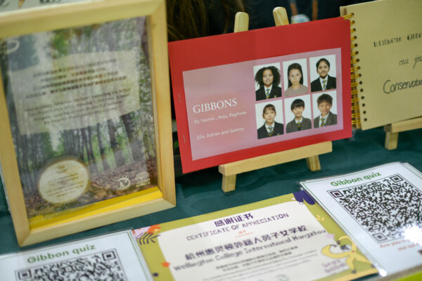 根与芽,杭州惠灵顿外籍人员子女学校