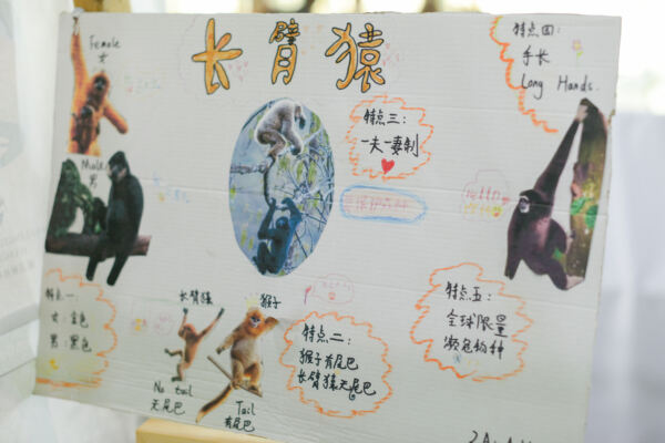 根与芽,杭州惠灵顿外籍人员子女学校