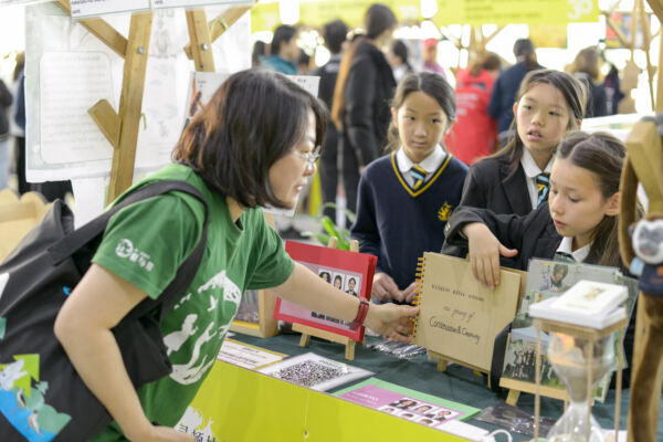 根与芽,杭州惠灵顿外籍人员子女学校
