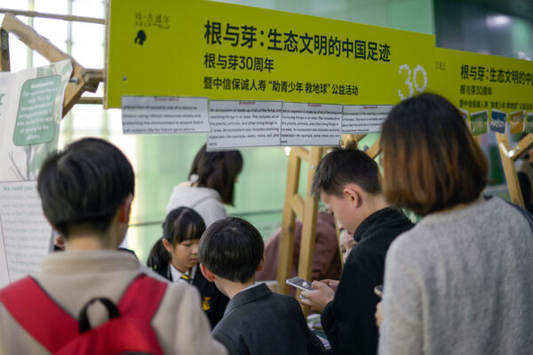 根与芽,杭州惠灵顿外籍人员子女学校