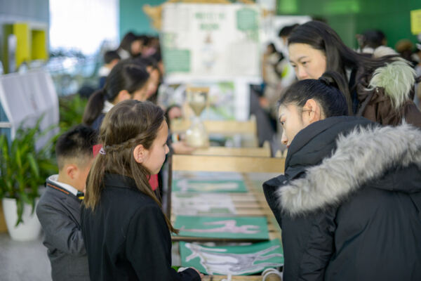根与芽,杭州惠灵顿外籍人员子女学校