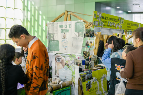 根与芽,杭州惠灵顿外籍人员子女学校