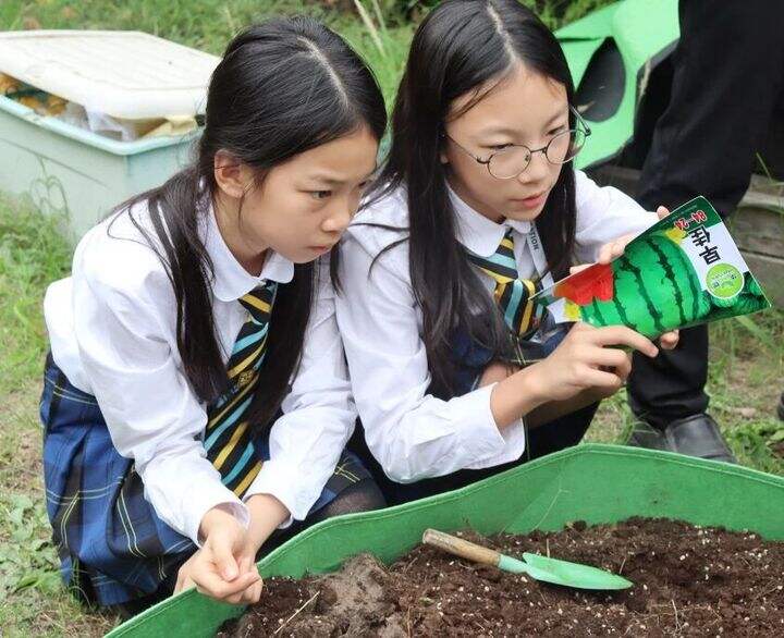 欢迎访问惠灵顿教育集团旗下学校-杭州惠灵顿外籍人员子女学校官网，了解学校最新信息。