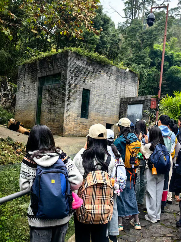 变革者之周,杭州惠灵顿外籍人员子女学校