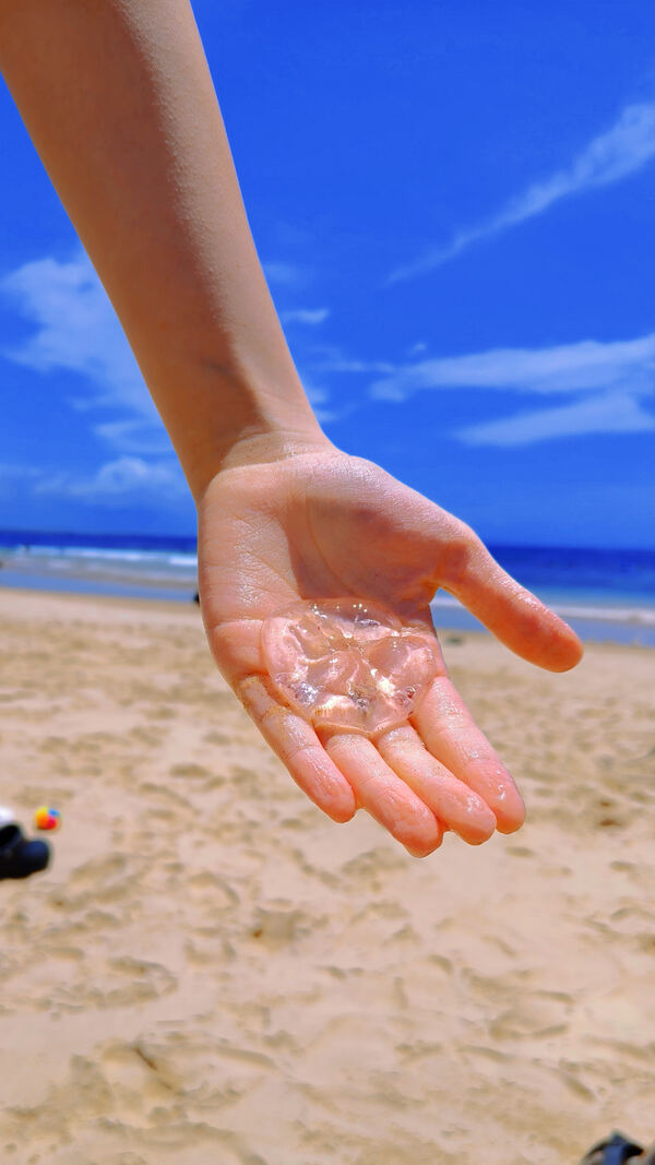 Changemakers' Week,Wellington College International Hangzhou