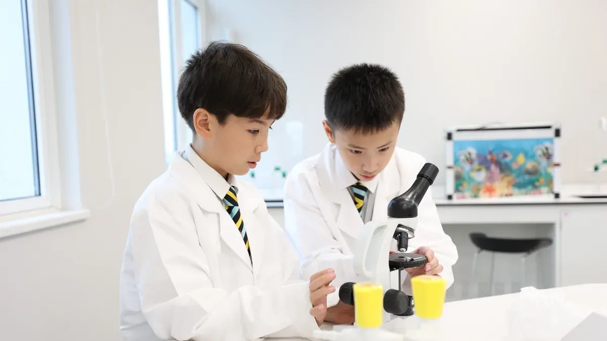How Wellington supports the transition from Year 6 to Year 7
