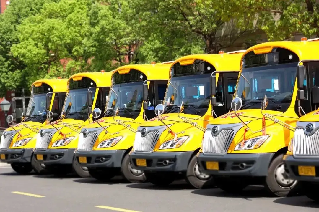 Exploring Wellington: school buses for your safety 