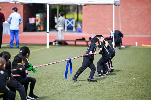 Primary School Sports Day ,Wellington College International Hangzhou