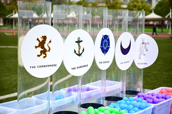 Primary School Sports Day ,Wellington College International Hangzhou