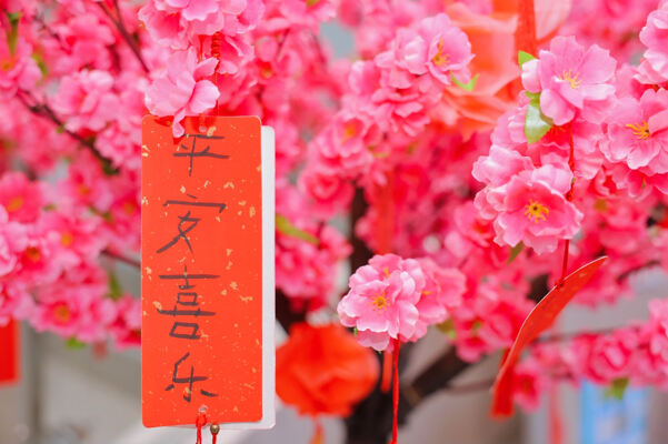 Chinese New Year Celebrations,Wellington College International Hangzhou
