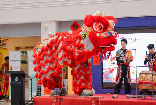 Chinese New Year Celebrations,Wellington College International Hangzhou
