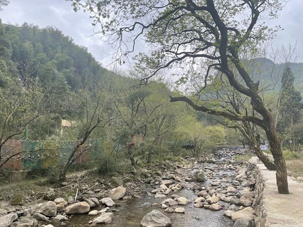 Year 4 Residential Trip,Wellington College International Hangzhou
