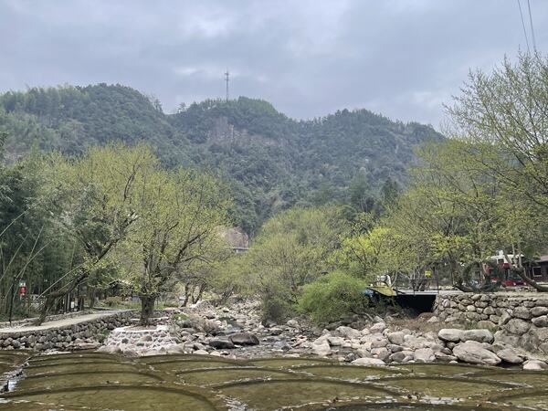 Year 4 Residential Trip,Wellington College International Hangzhou