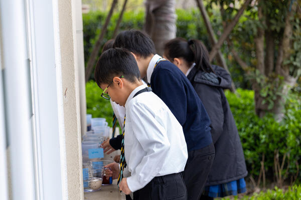 Wellington Science Week,Wellington College International Hangzhou