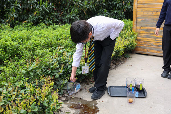 Wellington Science Week,Wellington College International Hangzhou