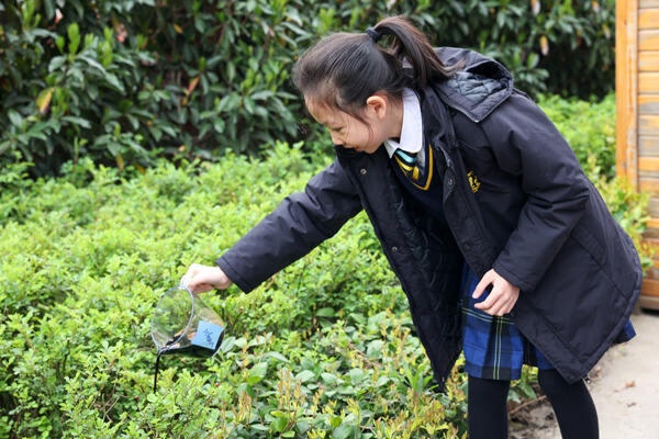 Wellington Science Week,Wellington College International Hangzhou