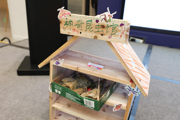Eco club,Wellington College International Hangzhou