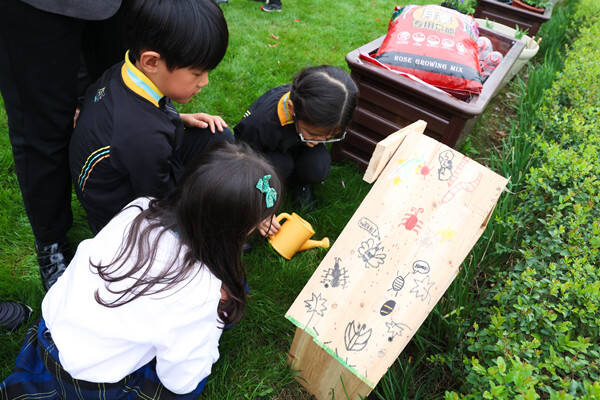 Eco club,Wellington College International Hangzhou