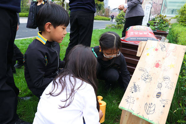 Eco club,Wellington College International Hangzhou