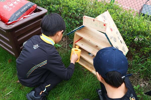 Eco club,Wellington College International Hangzhou