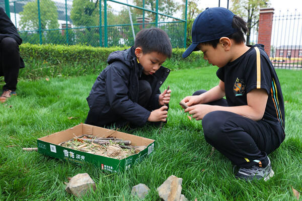 Eco club,Wellington College International Hangzhou