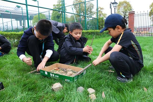 Eco club,Wellington College International Hangzhou